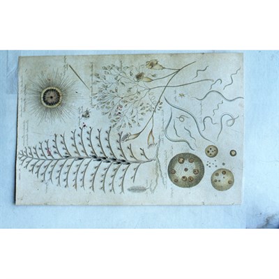 Lot 231 - KAHLO, FRIDA An important unpublished archive...