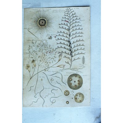 Lot 231 - KAHLO, FRIDA An important unpublished archive...