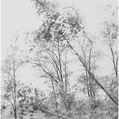 Lot 557 - METZKER, RAY (1931-2014) [Earthly Delights:...