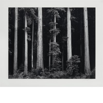 Lot 518 - ADAMS, ANSEL (1902-1984) Northern California...