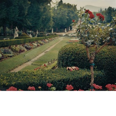 Lot 566 - PAPAGEORGE, TOD (b. 1940). The Gardens of La...