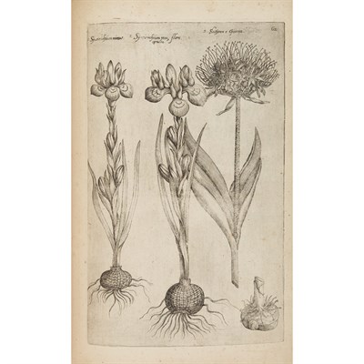 Lot 173 - SWEERT, EMANUEL Florilegium amplissimum et...