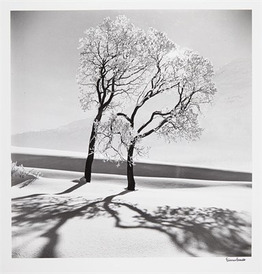 Lot 71 - EISENSTAEDT, ALFRED (1898-1995) [Trees in Snow,...