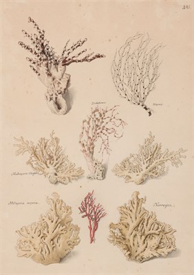 Lot 58 - Franz Anton von Scheidel Austrian, 1731-1801...