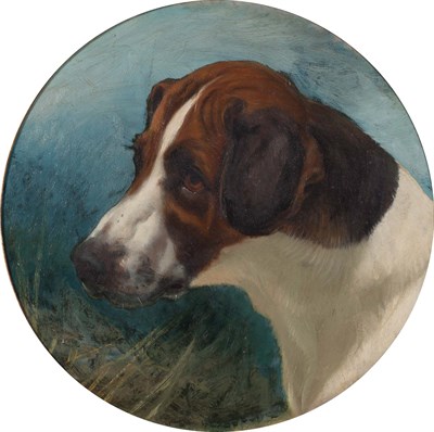 Lot 138 - George Earl British, 1824-1908 Head of "Gainer"...