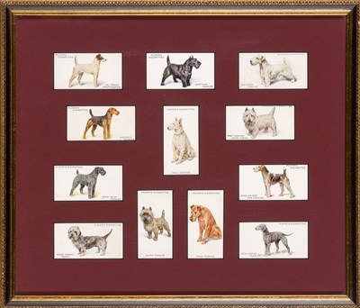 Lot 55 - Various Artists [DOG STUDIES] 51 color offset...