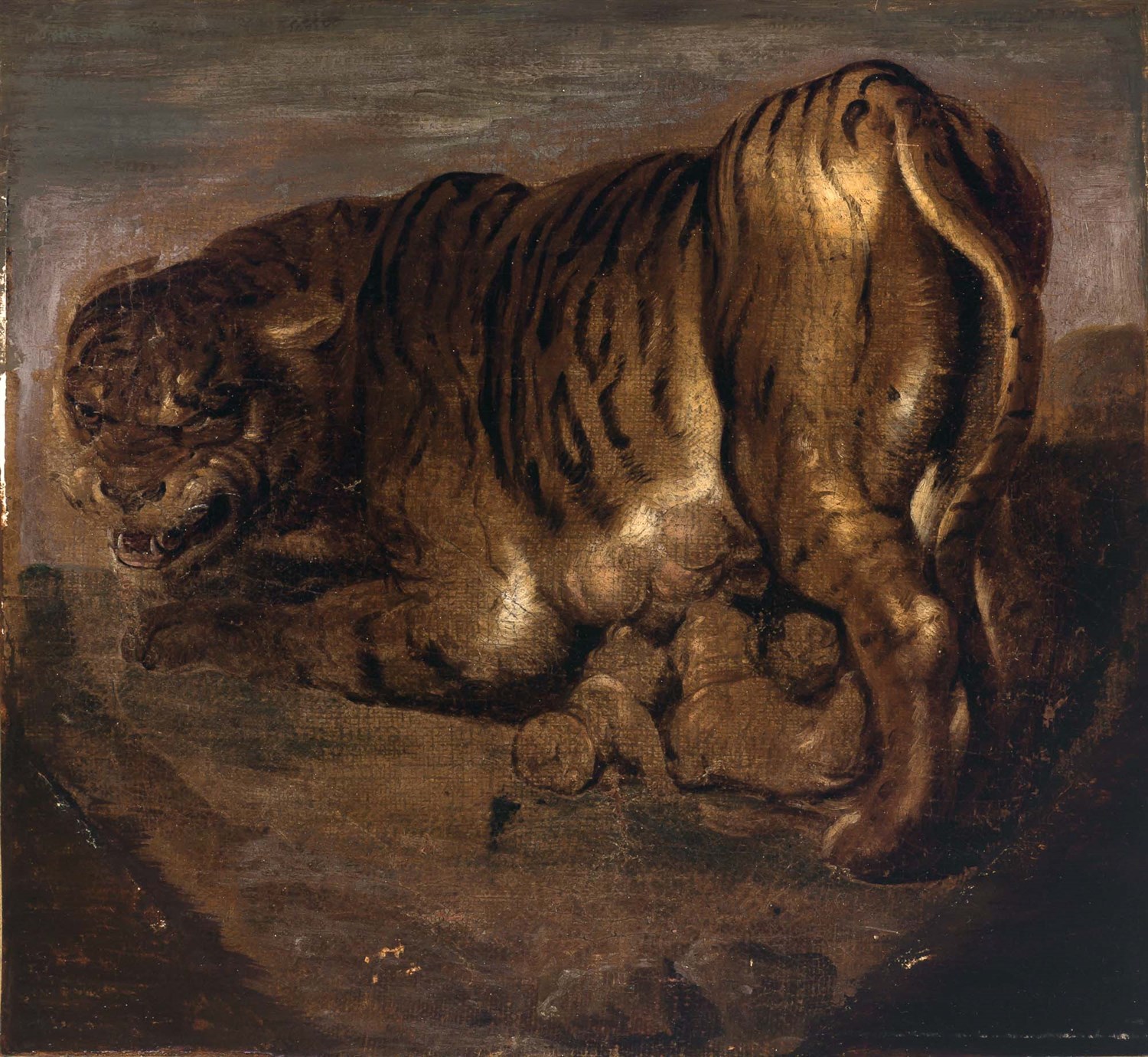 Lot 81 - Attributed to Johann-Georg de Hamilton Tiger...