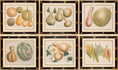 Lot 92 - Johann Wilhelm Weinmann (1683-1741) [FRUIT AND...
