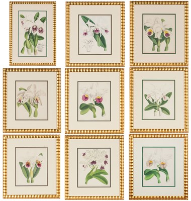 Lot 93 - John Nugent Fitch (1840-1927) [ORCHID STUDIES]...