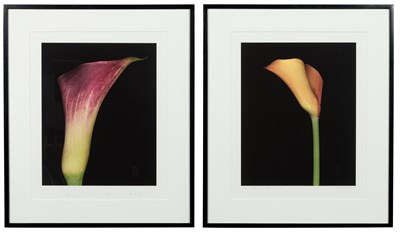Lot 102 - WOOLF, JOHN (b. 1952) Group of two floral...