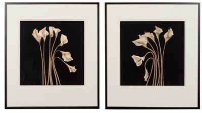 Lot 104 - BARROW, REENIE (b. 1944) Two photographs of...
