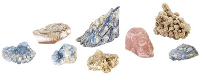 Lot 101 - The Collection of Dorothea Benton Frank Group...
