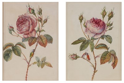 Lot 33 - French School 19th Century Roses: Two...