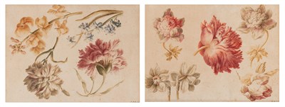 Lot 67 - Continental School 18th Century Botanical...