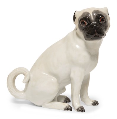 Lot 1059 - Meissen Porcelain Figure of a Pug 20th Century...