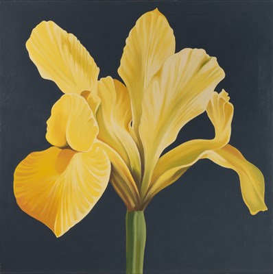 Lot 149 - Property from the Estate of Jacqueline Loewe...