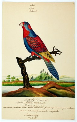 Lot 156 - [NATURAL HISTORY] GOODALL, W.[ILLIAM]. Group...