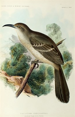 Lot 46 - [ORNITHOLOGY] BAIRD, SPENSER F; CASSIN, JOHN;...