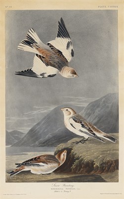 Lot 1111 - The Christine Biddle Wainwright Collection...