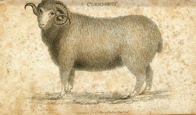 Lot 49 - [SHEEP/MERINO WOOL] BARD, SAMUEL. A Guide for...
