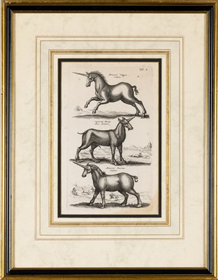Lot 71 - Joannes Jonstonus (1603-1675), author