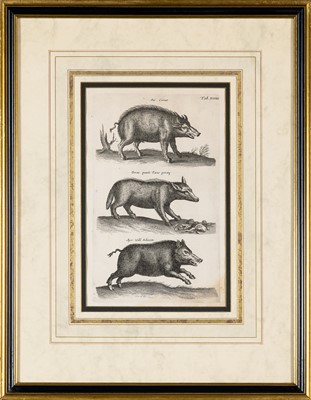 Lot 71 - Joannes Jonstonus (1603-1675), author