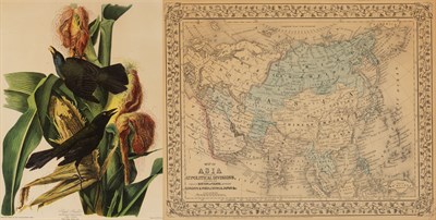 Lot 2192 - [PRINTS] AUDUBON, JOHN JAMES (After) Three...