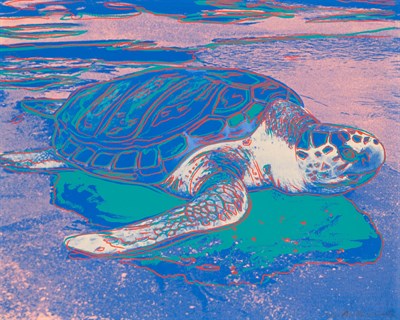 Lot 205 - Andy Warhol (1928-1987) TURTLE...