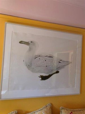 Lot 22 - Scott Kelley American, b. 1963 Southern Giant...