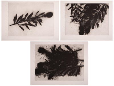 Lot 190 - Collection of Boling Cheng Donald Sultan (b....