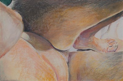 Lot 379 - The Flower Family Collection Joan Semmel...