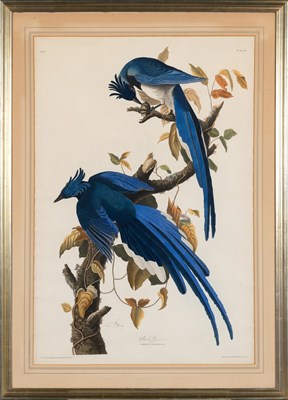 Lot 1003 - After John James Audubon (1785-1851) COLUMBIA...