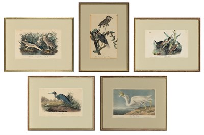 Lot 1005 - After John James Audubon (1785-1851) [BIRD...