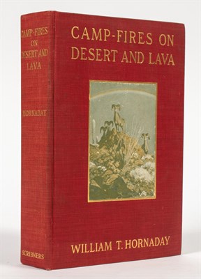 Lot 33 - [HUNTING] HORNADAY, WILLIAM T. Two works....