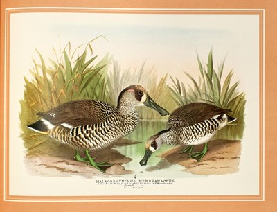 Lot 69 - [WILDFOWL ART] JONES, HENRY and others. The...