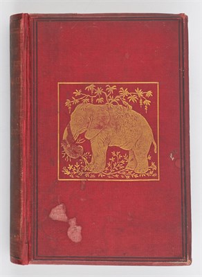 Lot 94 - FERNANDES DAS NEVES, D[IOCLECIANO]. A Hunting...