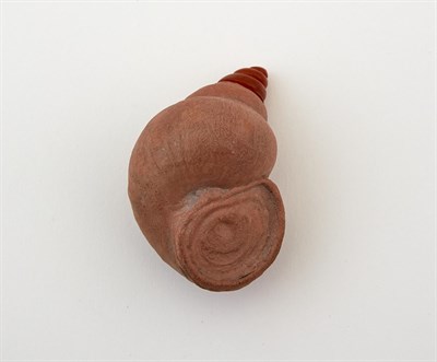 Lot 27 - A Chinese Yixing Shell-Form Snuff Bottle