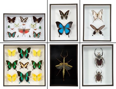 Lot 10 - The Collection of Whitney Robinson & Marc...