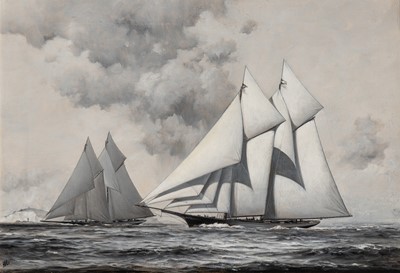 Lot 7 - Warren Sheppard