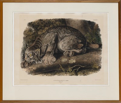 Lot 1013 - After John James Audubon (1785-1851) CANADA...