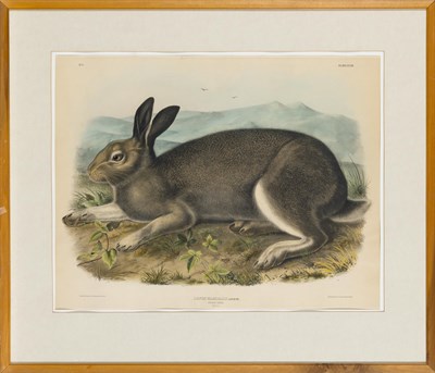 Lot 1011 - After John James Audubon (1785-1851) POLAR...