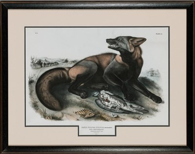 Lot 1007 - After John James Audubon (1785-1851) AMERICAN...