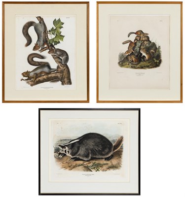 Lot 1012 - After John James Audubon (1785-1851) CHIPPING...