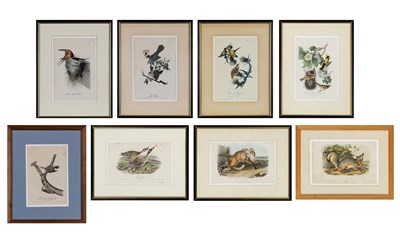 Lot 1014 - After John James Audubon (1785-1851) [ANIMAL...