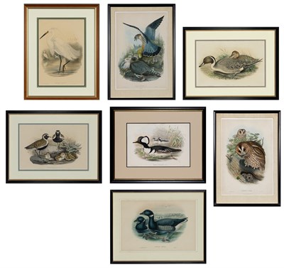Lot 1015 - John Gould (1804-1881), publisher [BIRD...