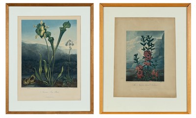 Lot 1002 - Dr. Robert John Thornton (1768-1837) AMERICAN...