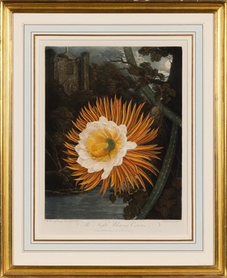 Lot 1001 - Dr. Robert John Thornton (1768-1837) THE NIGHT-...