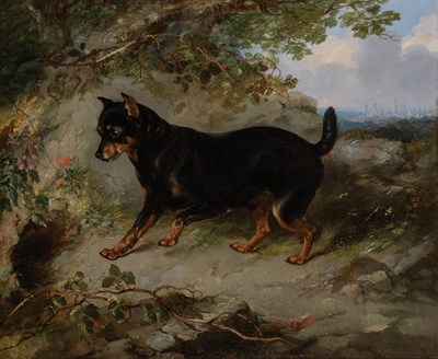 Lot 1006 - George Armfield British, 1808-1893 A Favorite...