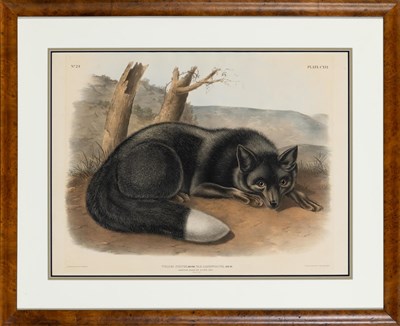 Lot 1010 - After John James Audubon (1785-1851) AMERICAN...