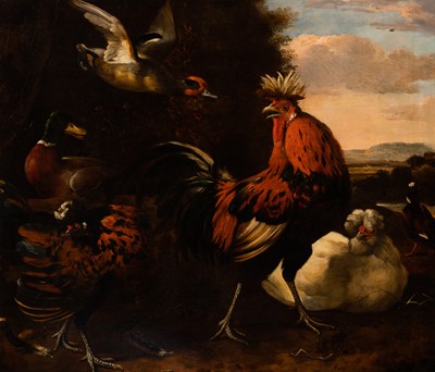 Lot 526 - School of Melchior de Hondecoeter